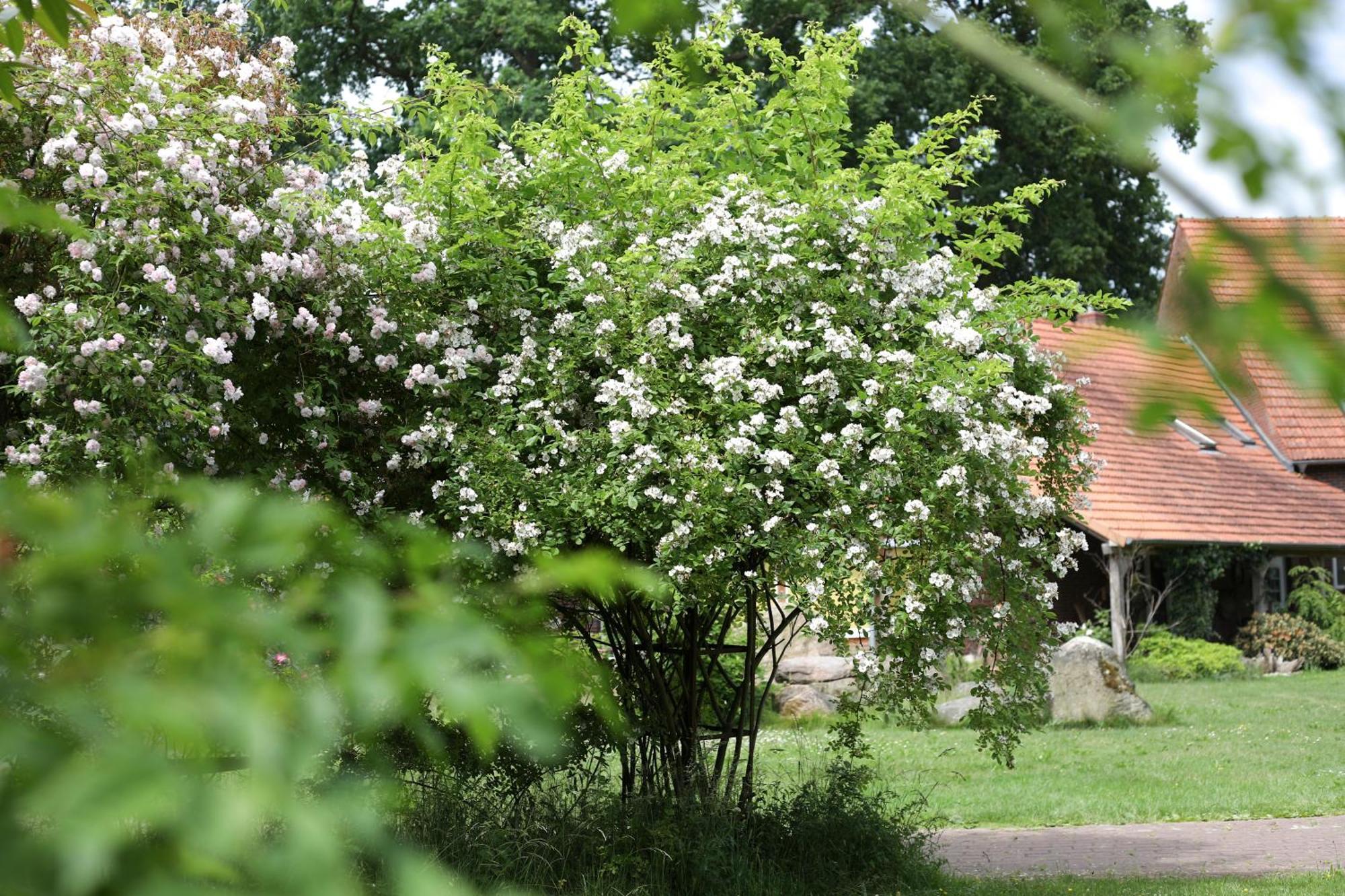 Sophienhof Achternholt Hotel Wardenburg Екстериор снимка
